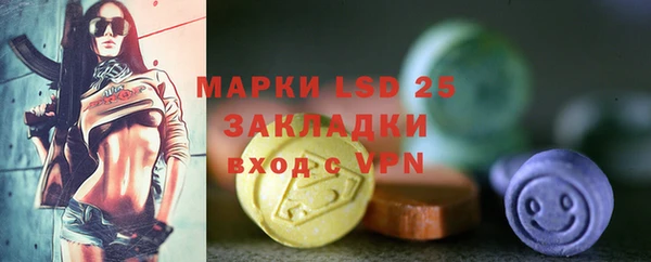 ГАЛЛЮЦИНОГЕННЫЕ ГРИБЫ Алексин