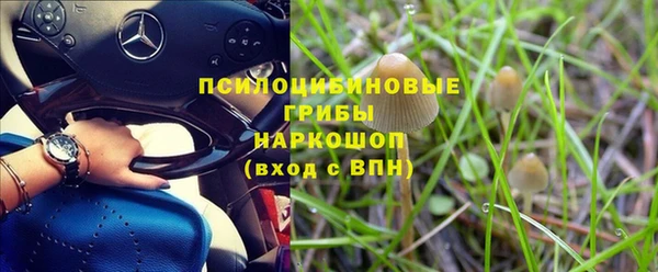 ГАЛЛЮЦИНОГЕННЫЕ ГРИБЫ Алексин