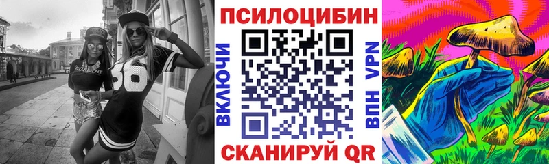 хочу   Рошаль  Галлюциногенные грибы Cubensis 